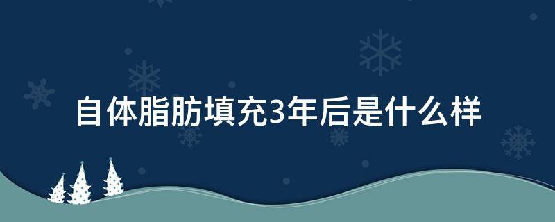 自体脂肪填充3年后是什么样 自体脂肪填充五六年了还不消
