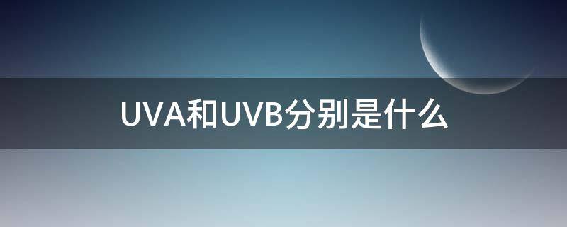 UVA和UVB分别是什么 uva和uvb分别是什么缩写