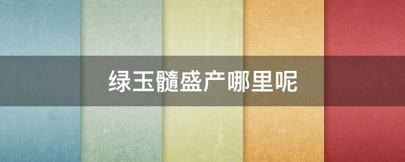 绿玉髓盛产哪里呢（绿玉髓产地哪里最好）