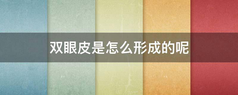 双眼皮是怎么形成的呢（双眼皮形成原理）