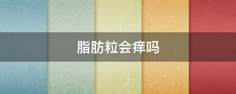 脂肪粒会痒吗（脂肪粒会红吗）