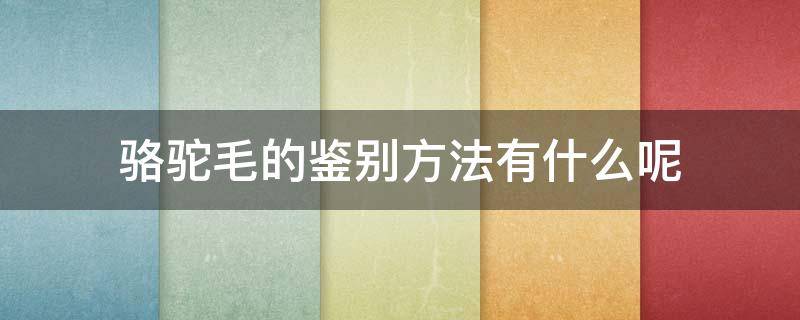 骆驼毛的鉴别方法有什么呢（骆驼毛的鉴别方法有什么呢视频）