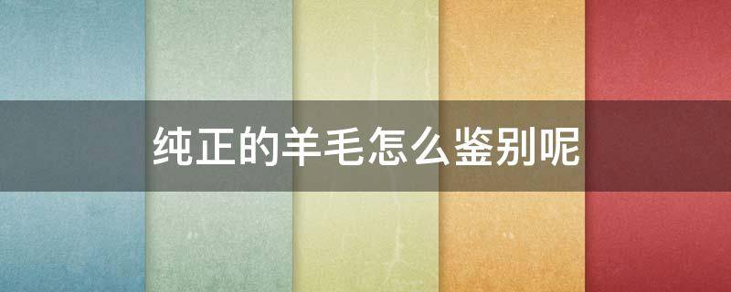 纯正的羊毛怎么鉴别呢（纯羊毛辨别）