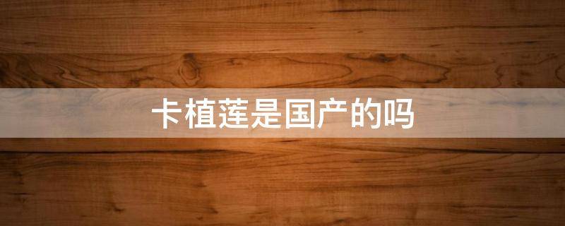 卡植莲是国产的吗（卡植莲官方旗舰店）