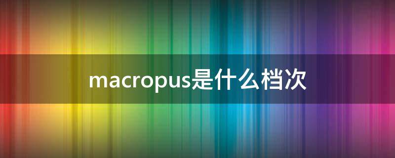 macropus是什么档次 macros是什么牌子