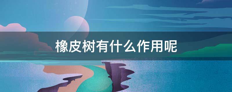 橡皮树有什么作用呢 橡皮树的好处和坏处