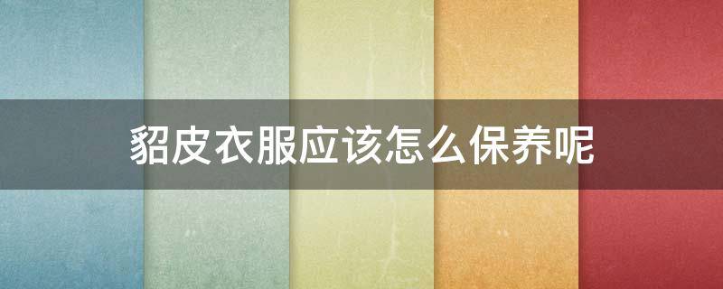 貂皮衣服应该怎么保养呢（貂皮衣服应该怎么保养呢图片）