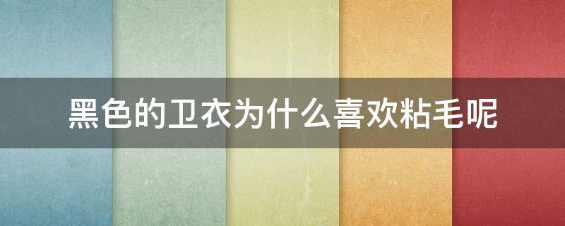黑色的卫衣为什么喜欢粘毛呢（黑色的卫衣为什么喜欢粘毛呢女）