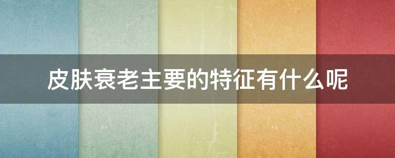 皮肤衰老主要的特征有什么呢 皮肤衰老主要的特征有什么呢