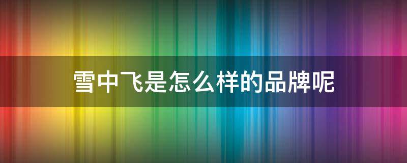雪中飞是怎么样的品牌呢（雪中飞是哪个品牌旗下的）