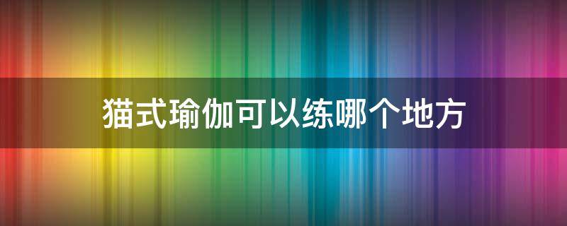 猫式瑜伽可以练哪个地方 猫式瑜伽以什么为基础