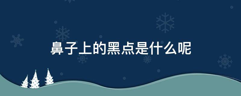 鼻子上的黑点是什么呢（鼻子上的黑点是什么呢）