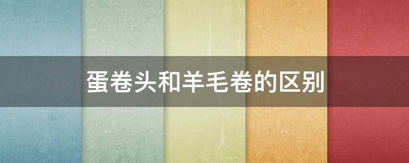蛋卷头和羊毛卷的区别（蛋卷头和羊毛卷的区别）