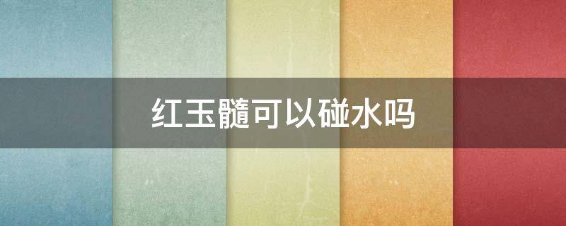 红玉髓可以碰水吗 红玉髓能碰水吗