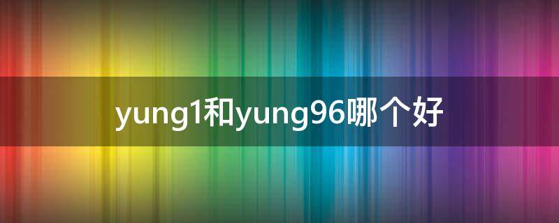 yung1和yung96哪个好（yung96测评）