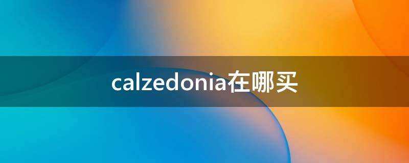 calzedonia在哪买（calzedonia专卖店）
