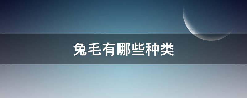 兔毛有哪些种类（兔毛有哪几种）