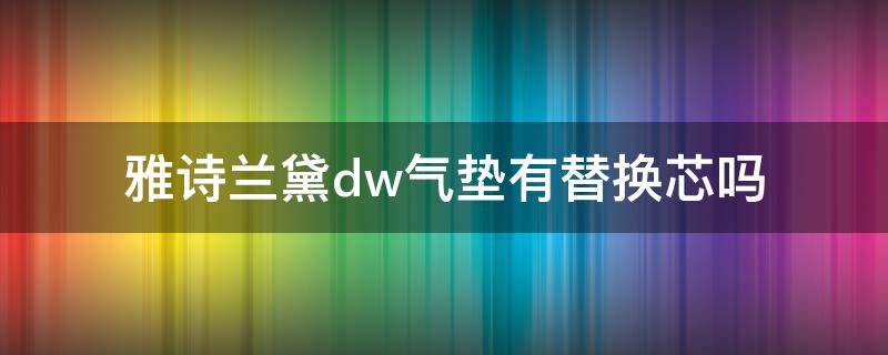 雅诗兰黛dw气垫有替换芯吗（雅诗兰黛dw气垫有没有替换芯）