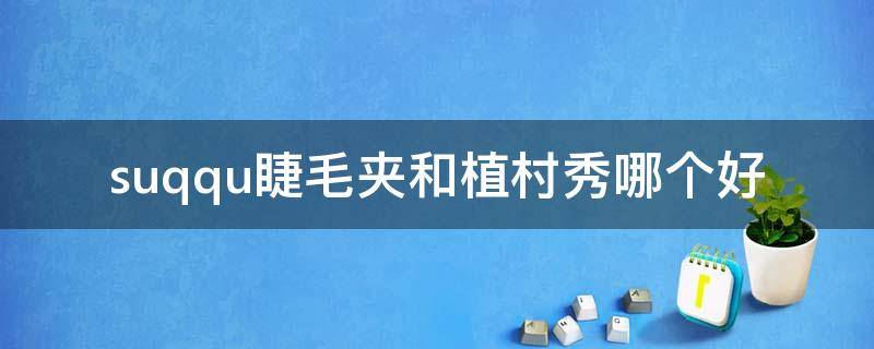 suqqu睫毛夹和植村秀哪个好 suqqu睫毛夹和植村秀睫毛夹哪个好
