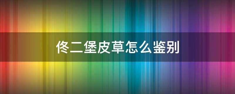 佟二堡皮草怎么鉴别（佟二堡皮草怎么砍价）