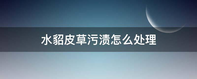 水貂皮草污渍怎么处理（水貂皮草脏了怎么清洗）