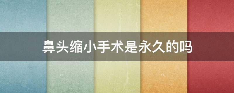 鼻头缩小手术是永久的吗 鼻头缩小手术的费用大概是多少啊