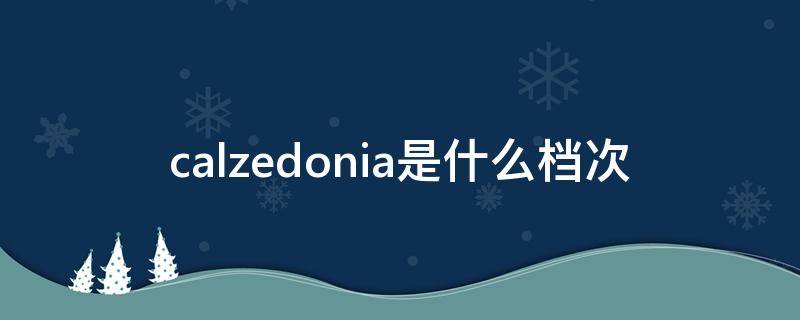 calzedonia是什么档次（calzedonia是什么牌子）