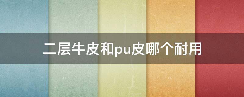 二层牛皮和pu皮哪个耐用（二层牛皮和pu皮哪个耐用一些）
