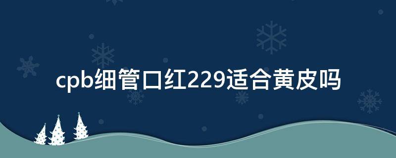 cpb细管口红229适合黄皮吗（cpb细管236现在叫什么色号）