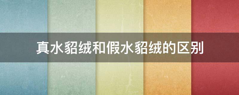 真水貂绒和假水貂绒的区别 真假水貂绒最简单的区别
