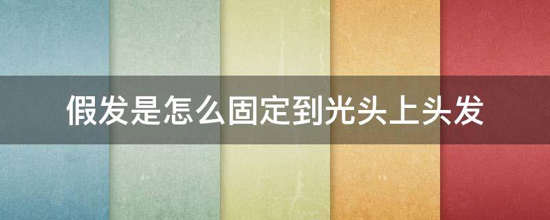 假发是怎么固定到光头上头发（假发里面怎么固定）