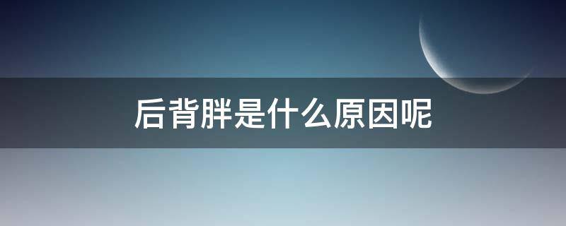 后背胖是什么原因呢（后背胖是什么原因呢怎么治疗）