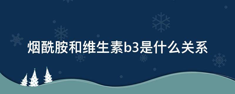 烟酰胺和维生素b3是什么关系 烟酰胺片和维生素b3美白效果
