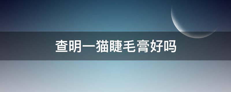 查明一猫睫毛膏好吗