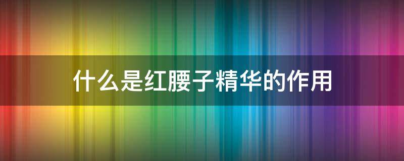 什么是红腰子精华的作用 什么是红腰子精华的作用和功效