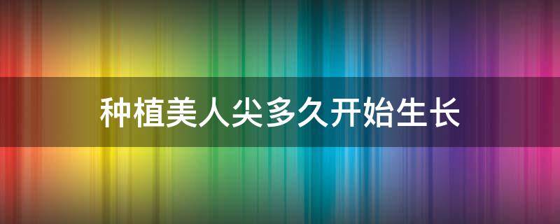 种植美人尖多久开始生长 种植美人尖多久开始生长的