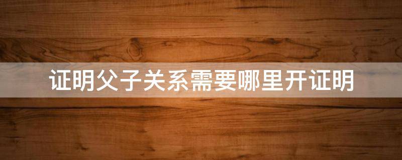 证明父子关系需要哪里开证明 证明父子关系需要哪里开证明怎么写