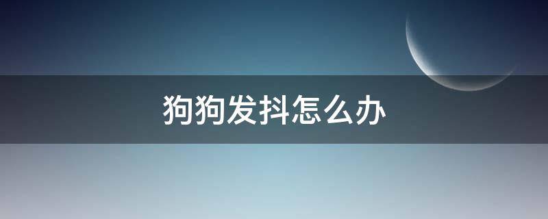狗狗发抖怎么办（狗狗发抖怎么回事）