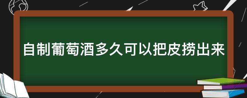 自制葡萄酒多久可以把皮捞出来 自制葡萄酒多久可以喝?