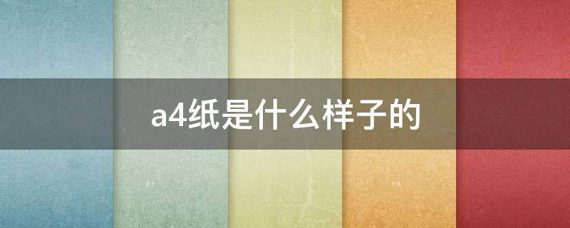 a4纸是什么样子的（a4纸是什么样子的照片）