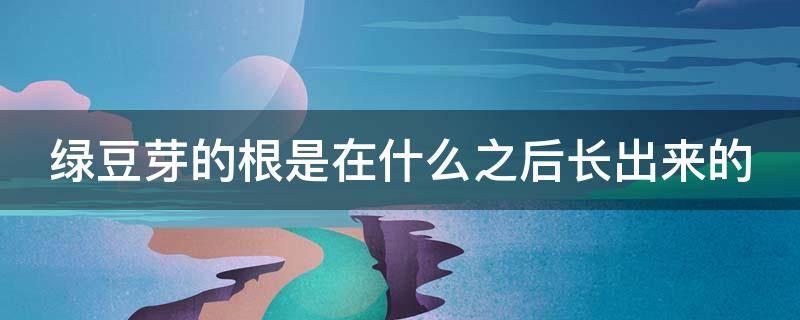 绿豆芽的根是在什么之后长出来的（绿豆芽的根是在什么时候长出来的）
