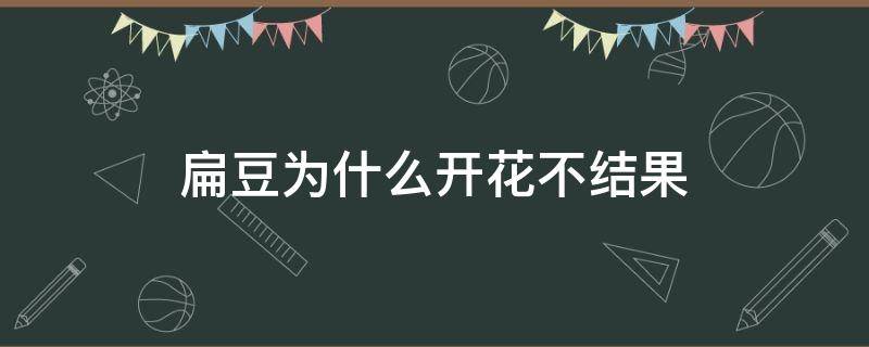 扁豆为什么开花不结果 扁豆为什么开花不结果的原因