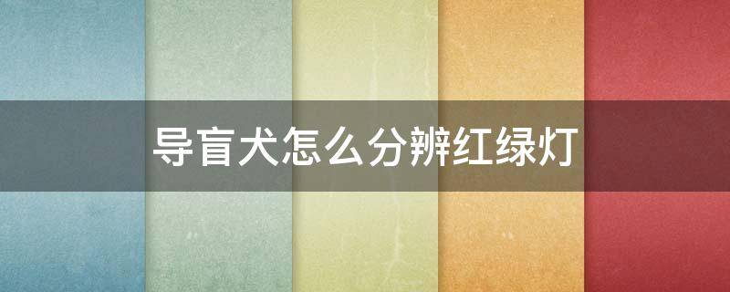 导盲犬怎么分辨红绿灯（导盲犬怎么分辨红绿灯蚂蚁庄园）