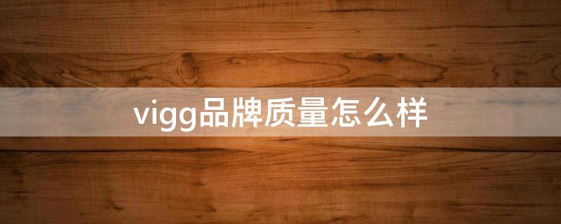 vigg品牌质量怎么样 vigor品牌