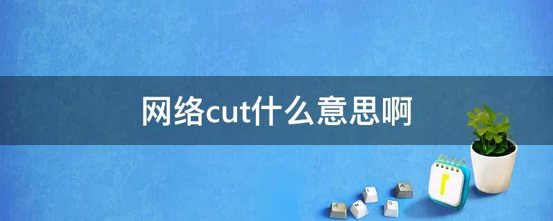 网络cut什么意思啊（网络用词cut）