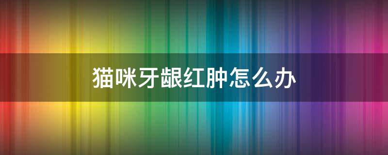 猫咪牙龈红肿怎么办（猫咪牙龈红肿怎么办图片）