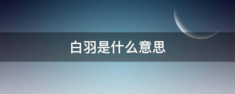 白羽是什么意思 白羽象征的意思