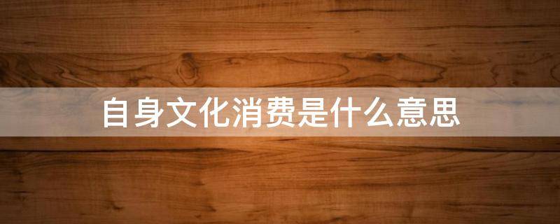 自身文化消费是什么意思（什么叫自身文化消费）