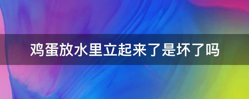 鸡蛋放水里立起来了是坏了吗（鸡蛋放水里立起来了是坏了吗图片）