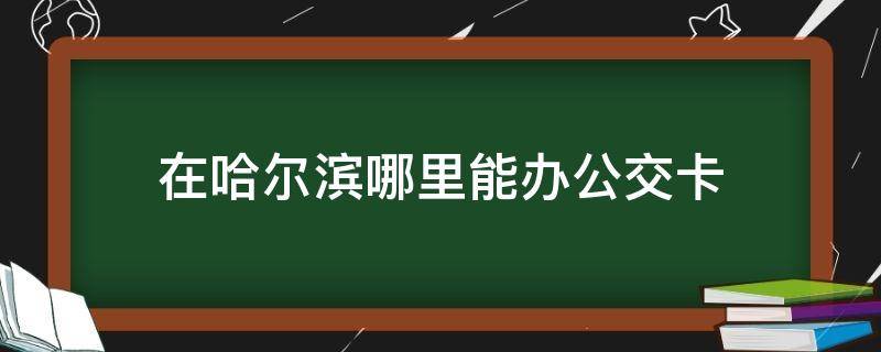 在哈尔滨哪里能办公交卡 哈尔滨去哪办公交卡去哪办